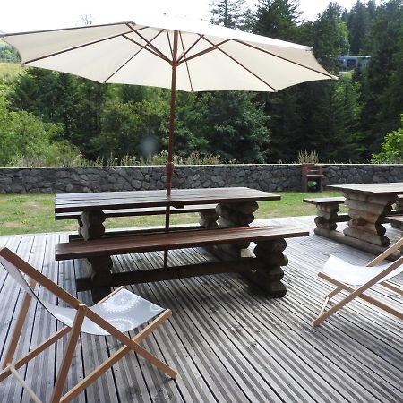 Le Lioran Studio Les Myrtilles A 200M Des Pistes Dış mekan fotoğraf