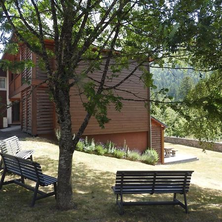 Le Lioran Studio Les Myrtilles A 200M Des Pistes Dış mekan fotoğraf