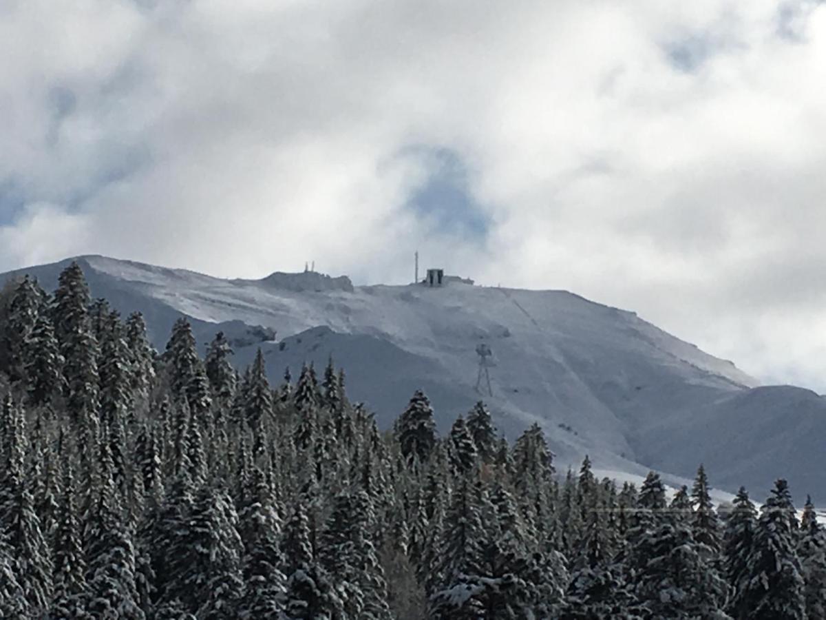 Le Lioran Studio Les Myrtilles A 200M Des Pistes Dış mekan fotoğraf