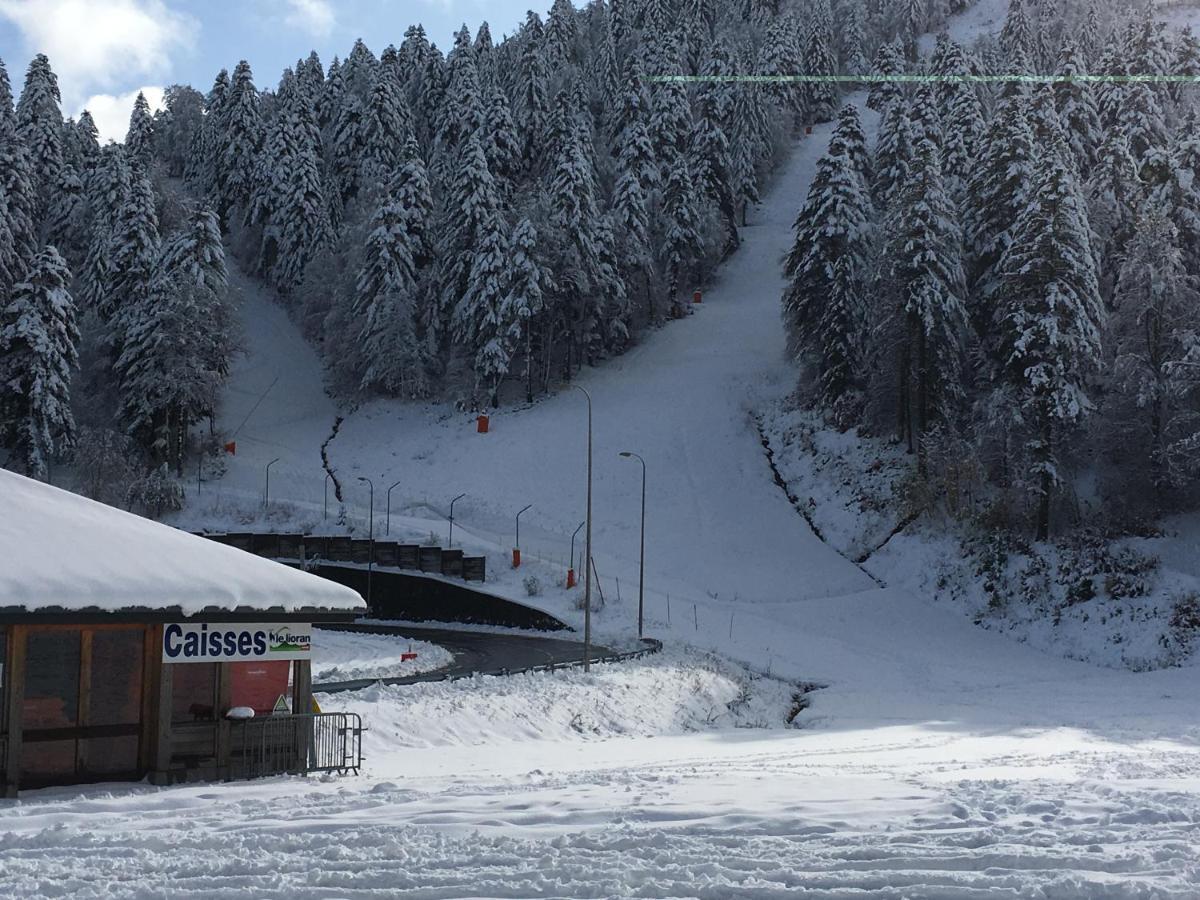 Le Lioran Studio Les Myrtilles A 200M Des Pistes Dış mekan fotoğraf