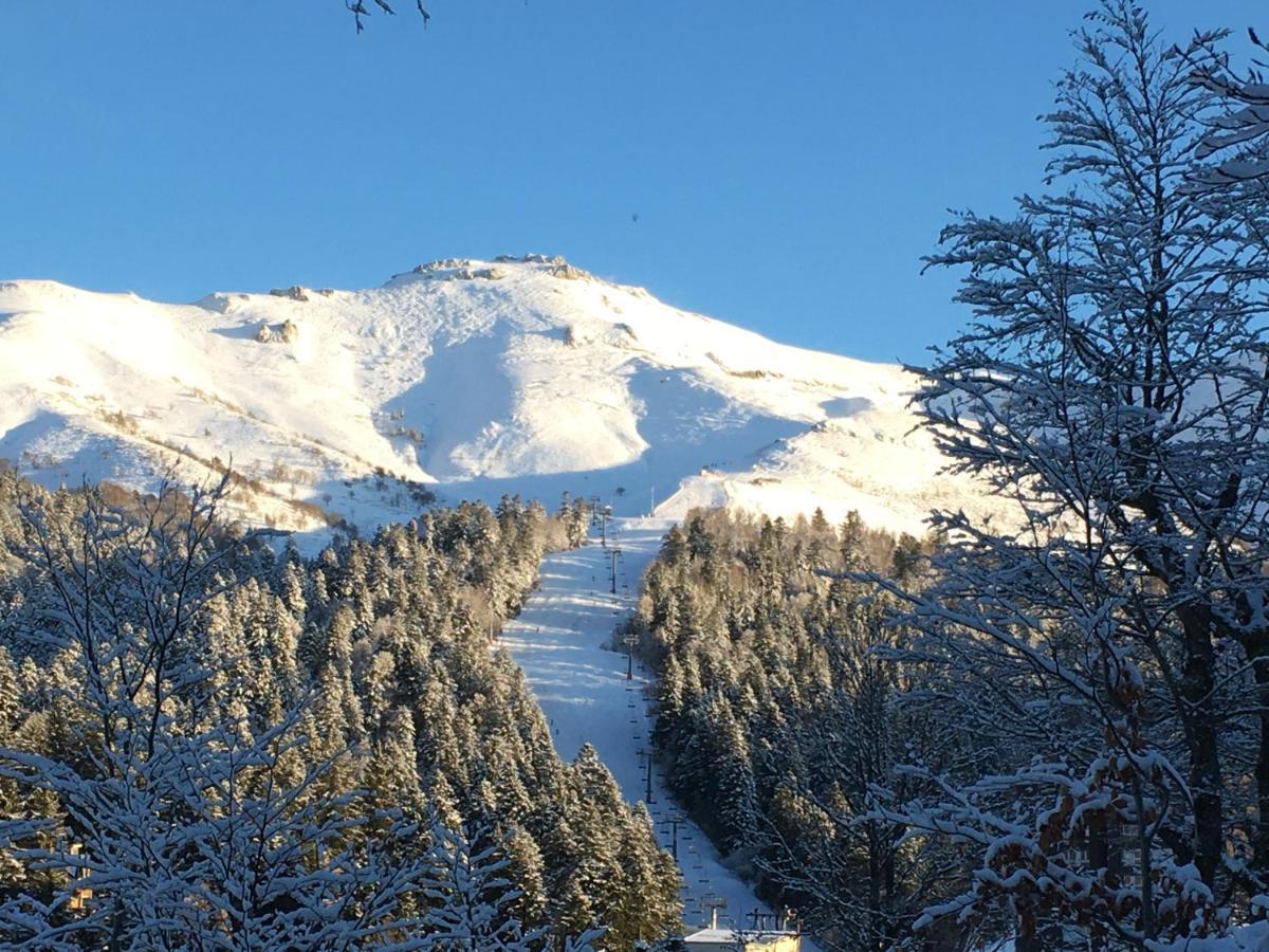 Le Lioran Studio Les Myrtilles A 200M Des Pistes Dış mekan fotoğraf