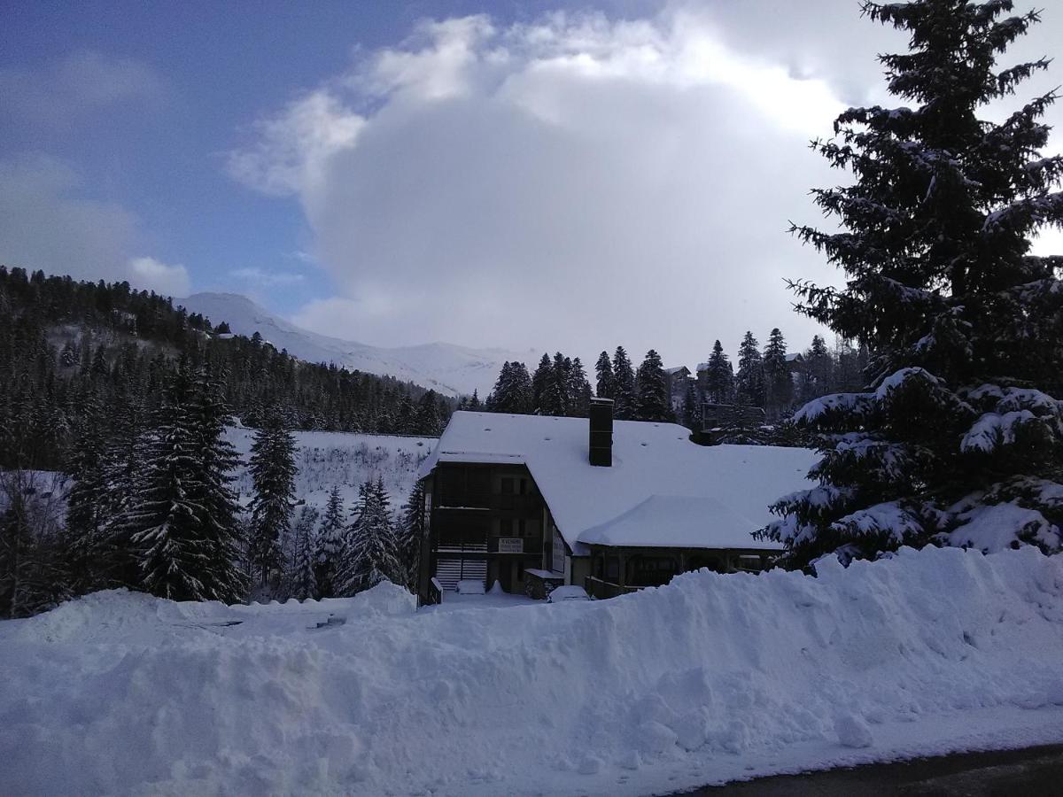 Le Lioran Studio Les Myrtilles A 200M Des Pistes Dış mekan fotoğraf