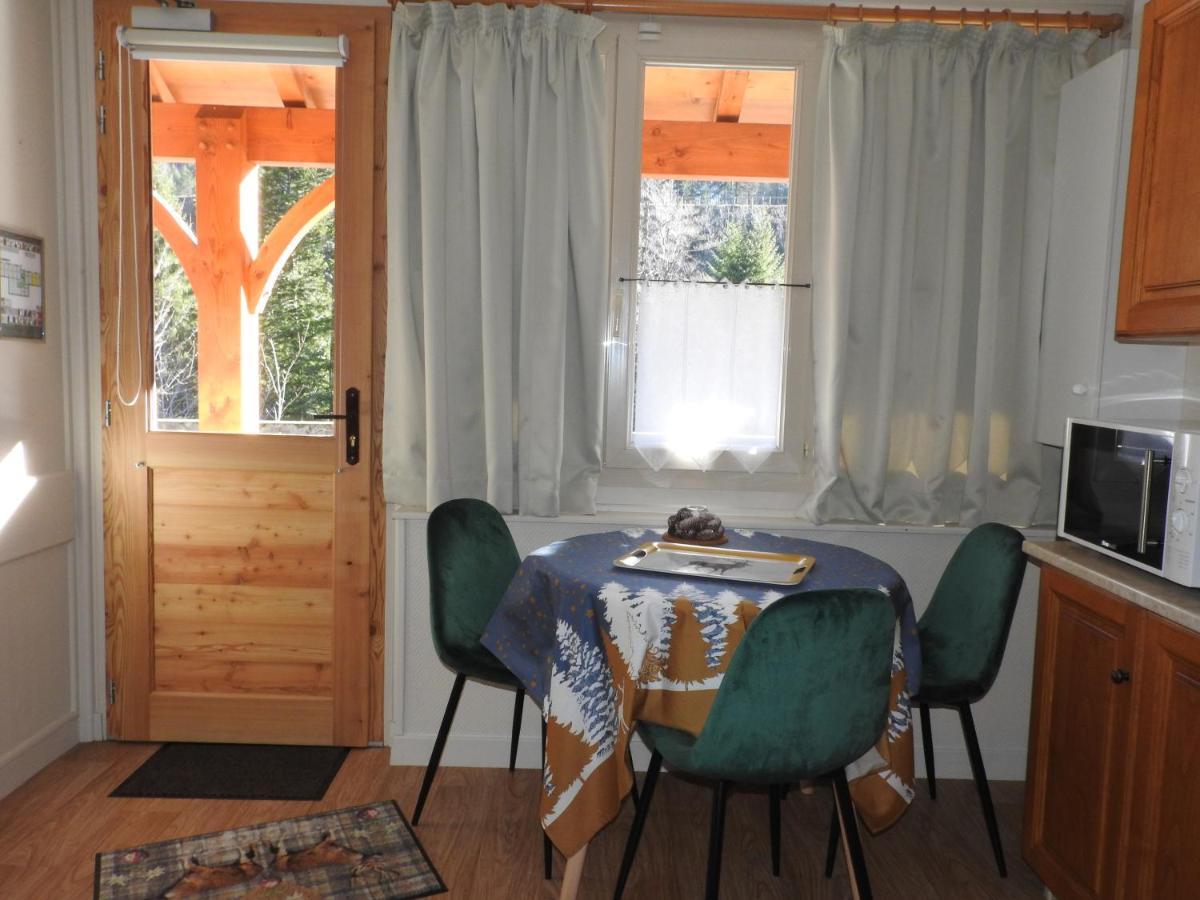 Le Lioran Studio Les Myrtilles A 200M Des Pistes Dış mekan fotoğraf