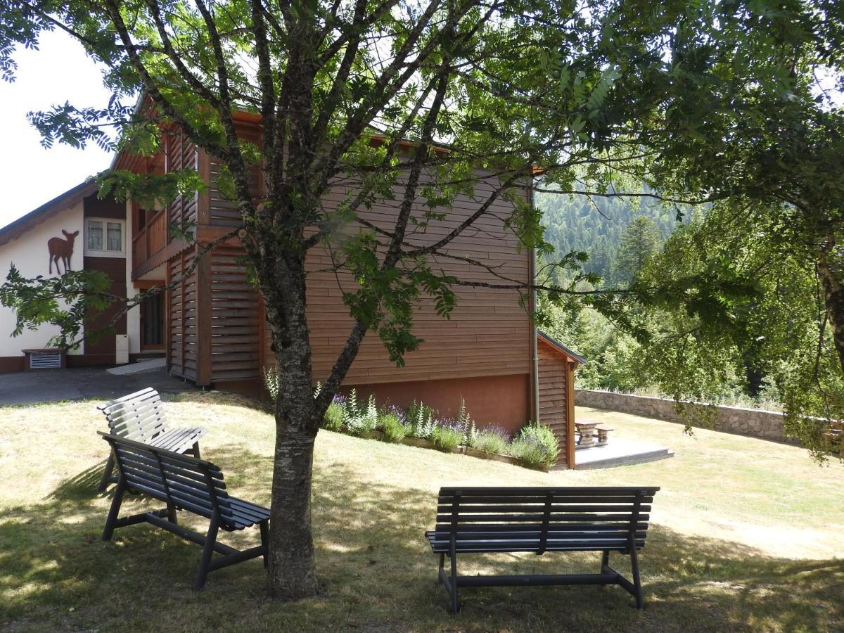 Le Lioran Studio Les Myrtilles A 200M Des Pistes Dış mekan fotoğraf