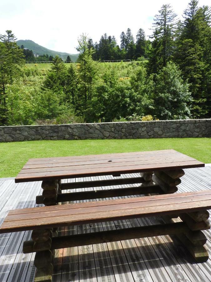 Le Lioran Studio Les Myrtilles A 200M Des Pistes Dış mekan fotoğraf